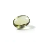 Amber or Copal? Five Honest Tests for Kehruba
