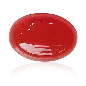 Red Coral Meaning