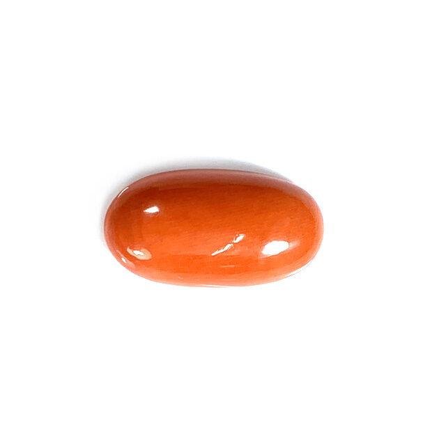 Orange Coral (Marjan)