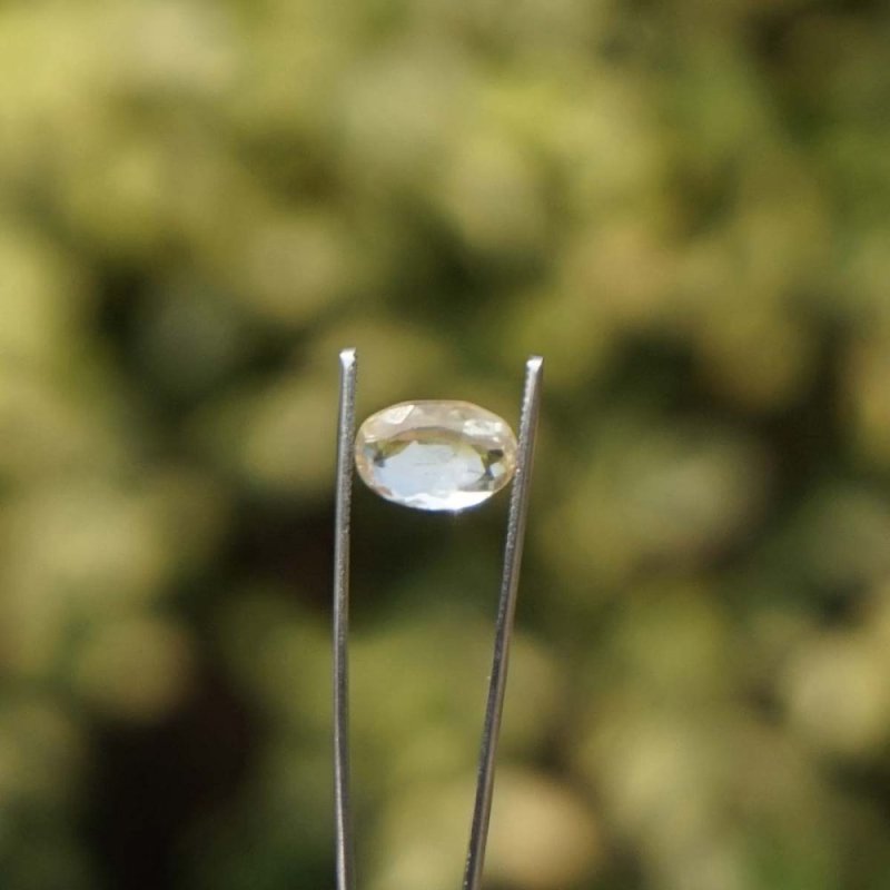Lehsunia (Cat Eye) 10 Carat