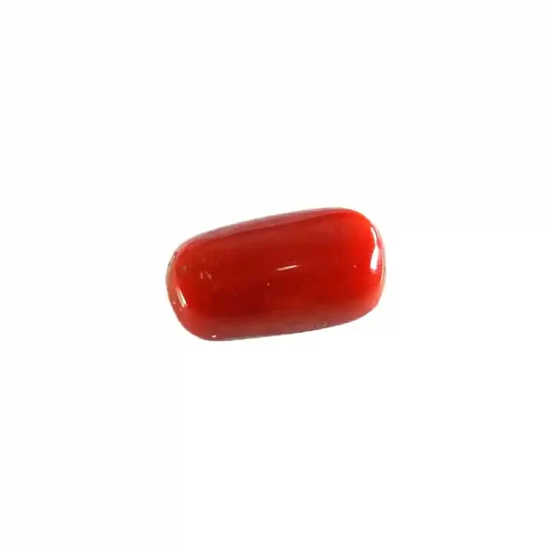 Marjan staone coral stone red coral stone benefits, red coral stone price, red coral stone meaning, red coral stone in urdu, red coral stone ring, red coral stone side effects, red coral stone price in pakistan, red coral stone benefits for marriage, ruby stone, emerald stone, pukhraj stone, neelam stone, What is red coral stone good for? Who should wear red coral gemstone? Is red coral stone expensive? red coral, marjan stone, marjan stone in english, marjan stone price in pakistan, marjan stone benefits, marjan stone price, marjan stone benefits in urdu, marjan stone ring, marjan stone original, marjan stone history, marjan stone colors,