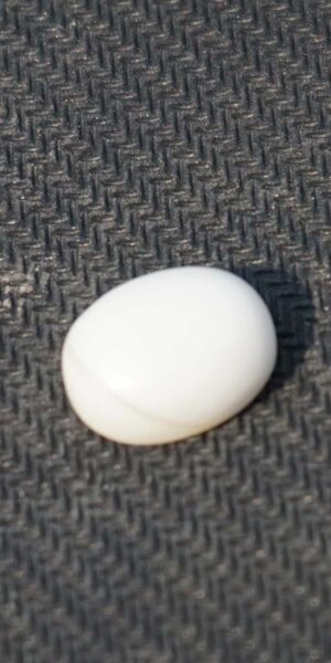 Original White Marjan in Abu Dhabi