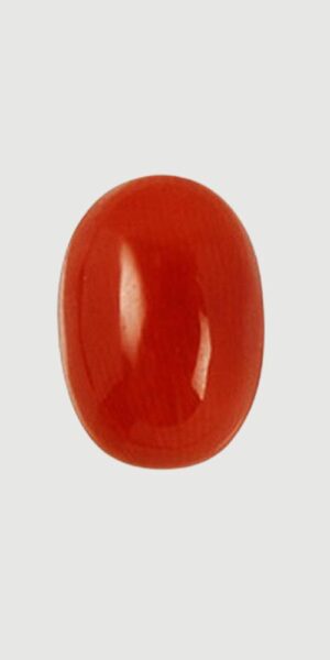 Coral Marjan stone price in Pakistan