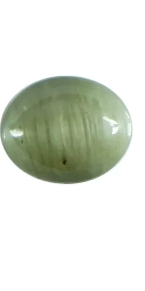Original CatEye in Jeddah
