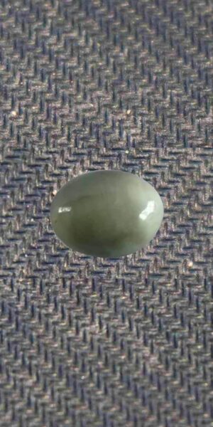Original Cat Eye in Saskatoon