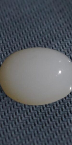 Original White Aqeeq in Abu Dhabi